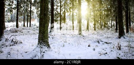 Sonnenuntergang im Winterwald. Winterlandschaft mit schneebedeckten Tannen. Stockfoto