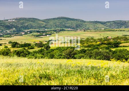 Landschaft von Mazedonien Region, Weizenfelder von Mazedonien Region, Vorort von Serres, Zentralmakedonien, Griechenland, Europa Stockfoto