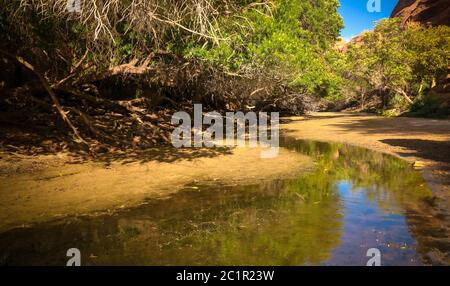 Panorama in der Schlucht, auch Guelta Bashikele genannt, im Osten Ennedi, Tschad Stockfoto