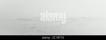 Weiß gewaschen gemalt strukturierten abstrakten Hintergrund mit Pinselstrichen in weißen und schwarzen Farbtönen. Abstrakte Malerei Kunst Hintergrund Stockfoto