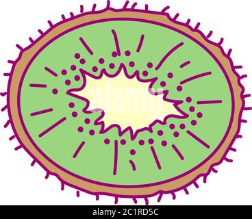 vektor hübsch gezeichnet Obst Cliparts geschnitten Kiwi Stock Vektor