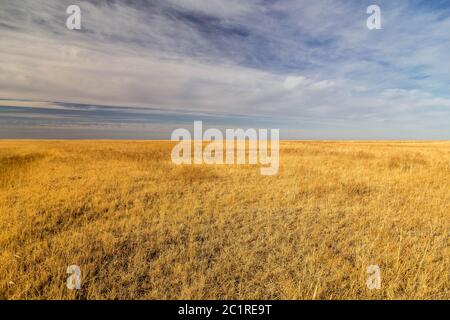 Endlose Steppen vor blauem Himmel und weißen Wolken. Stockfoto