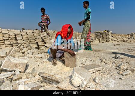 Arbeiter schneiden Blöcke von Salz in einem Salzbruch in Assale Salt Lake, Hamedala, Danakil Depression, Afar Region, Äthiopien Stockfoto