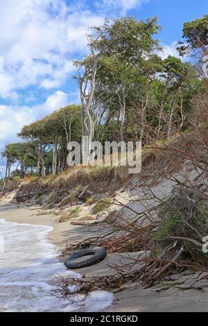 Strandgut an der DarÃŸer Weststrand Stockfoto