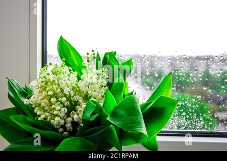 Ein Strauß von Lilien des Tals steht in einem Glasgefäß auf der Fensterbank. Fenster mit Tropfen vom Regen Stockfoto