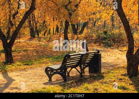 Sitzbank im Herbst Park. Herbst Landschaft. Stockfoto