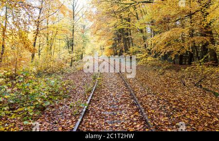 Alte und vergessene Bahngleise in einem bunten Herbstwald. Stockfoto