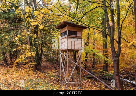 Erzogen blind in einem Wald zur Jagd. Stockfoto