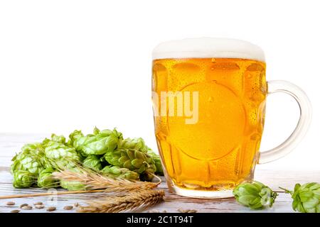 Glas Bier mit Hopfen und Gerste. Stockfoto