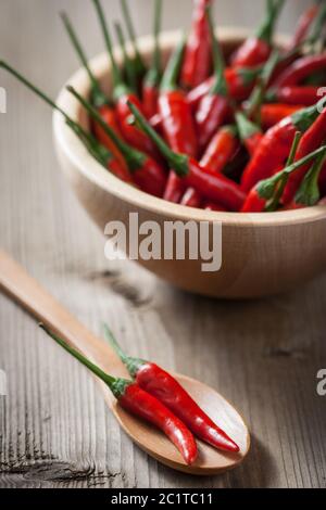 Red hot Chili Paprika Stockfoto