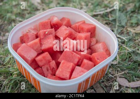 Draufsicht auf Wassermelone (Citrullus lanatus) Fruchtwürfel, in einem Plastikbehälter Stockfoto