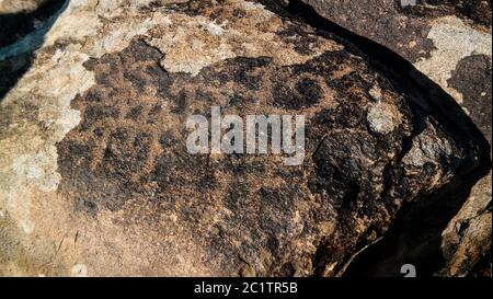 Felsmalerei, auch Petroglypgs genannt, auf dem Feld in Cholpon-ATA, Issyk-kul, Kirgisistan Stockfoto