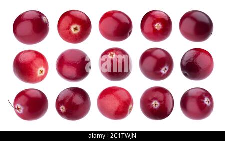 Cranberries Sammlung, Cranberry isoliert auf weißem Hintergrund Stockfoto