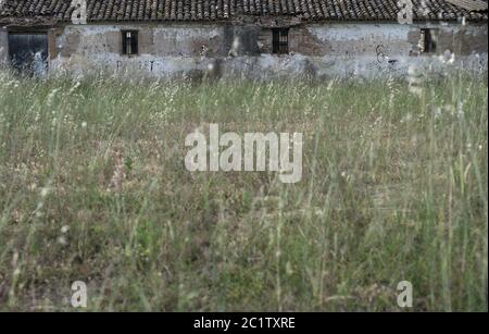 Altes Haus in Schutt und Asche Stockfoto