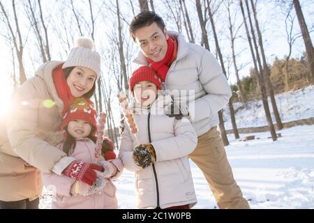 Der Schnee mit der zuckerbeschichteten Beere glückliche Familie Stockfoto