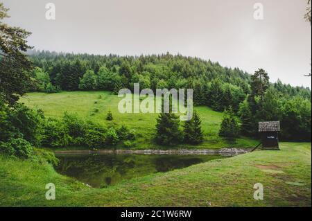 Bergbausee in grüner Frühlingsnatur Stockfoto