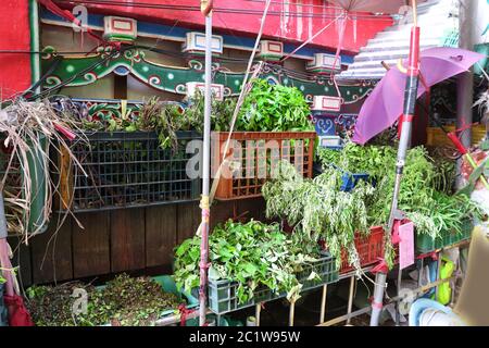 Kräutermarkt in Taipei, Taiwan. Die Kräuterstraße, Kräuterspezialitäteneinkaufsstraße in der Xichang Straße. Chinesische Medikamente. Stockfoto
