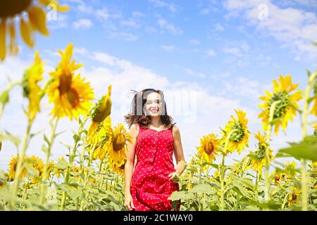 Hübsche Brünette Frau in Sonnenblumenfeld Stockfoto