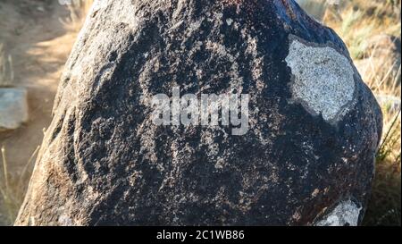 Felsmalerei, auch Petroglypgs genannt, auf dem Feld in Cholpon-ATA, Issyk-kul, Kirgisistan Stockfoto