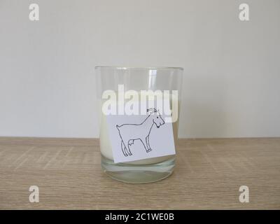 Ein Glas frische Ziegenmilch Stockfoto