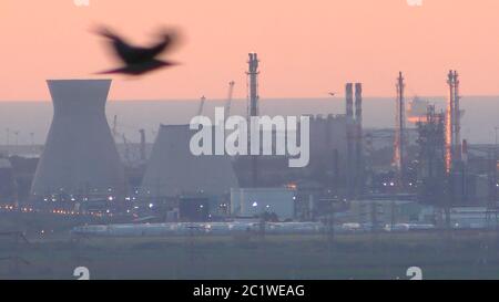 Der Wasserkühlturm (Lebenia-Flasche) der Ölraffinerie Bazan stürzte ein, niemand wurde verletzt. Der Beginn des Abgangs der Verschmutzung in Haifa Bucht, Israel, Sonnenuntergang mit Vogel Stockfoto