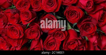 Natürliche rote Rosen Hintergrund. Blumenstrauß frische dunkelrote Rosen Nahaufnahme Textur Hintergrund Stockfoto