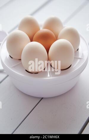 Huhn Eier in einem Ei Elektroherd auf einem weißen Tisch Stockfoto