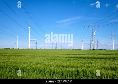 Windenergieanlagen und Stromleitungen in einem Maisfeld in Deutschland gesehen Stockfoto