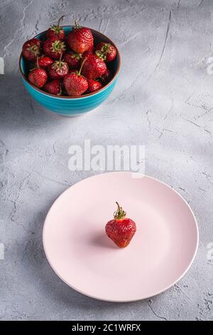 Eine Erdbeere in rosa Teller nahe zu frischen reifen Erdbeeren Früchte in blauer Schale, Sommer Vitaminbeeren auf grauem Stein Hintergrund, Ansicht von der Ecke Stockfoto