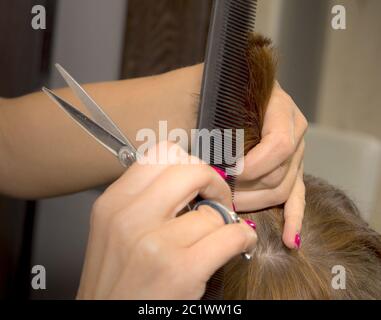 Friseur schneidet kurze Haare im Friseursalon. Nahaufnahme der Schere und Kamm. Stylist dabei Haare schneiden von jungen Brünette Mädchen Stockfoto