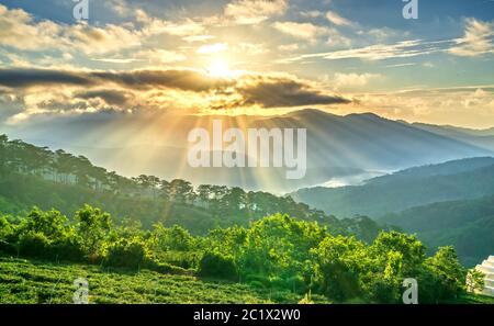 Sonnenaufgang über Hügel einen Pinienwald mit langen Sonnenstrahlen passieren Tal mit Kiefern gelb sonnige Morgen diesen Ort lebendiger Stockfoto