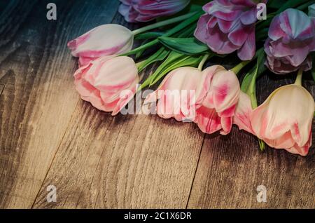 Bouquet von rosa Tulpen auf dem Hintergrund von alten Holzbrettern mit einem Platz für die Inschrift, getönte Stockfoto