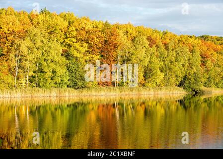 Herbstfarben Stockfoto