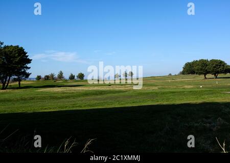Leerer Golfplatz während der Covid-19-Sperre Stockfoto