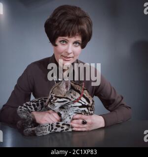 Ann Ladiges, deutsche Fernsehansagerin, Autorin und Drehbuchschreiberin, mit einem Ozelot bei einer Fotosession im Studio Hamburg, Deutschland um 1967. Die deutsche TV-Moderatorin, Autorin und Drehbuchautorin Ann Ladiges während eines Fotoshootings mit einem Ozelot im Hamburger Fernsehstudio um 1967. Stockfoto