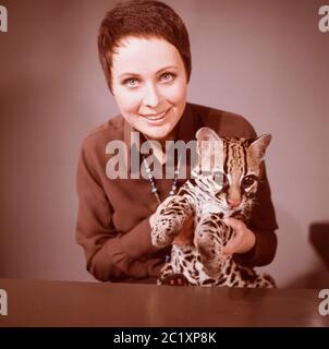 Ann Ladiges, deutsche Fernsehansagerin, Autorin und Drehbuchschreiberin, mit einem Ozelot bei einer Fotosession im Studio Hamburg, Deutschland um 1967. Die deutsche TV-Moderatorin, Autorin und Drehbuchautorin Ann Ladiges während eines Fotoshootings mit einem Ozelot im Hamburger Fernsehstudio um 1967. Stockfoto