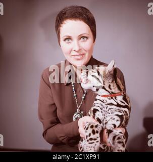 Ann Ladiges, deutsche Fernsehansagerin, Autorin und Drehbuchschreiberin, mit einem Ozelot bei einer Fotosession im Studio Hamburg, Deutschland um 1967. Die deutsche TV-Moderatorin, Autorin und Drehbuchautorin Ann Ladiges während eines Fotoshootings mit einem Ozelot im Hamburger Fernsehstudio um 1967. Stockfoto