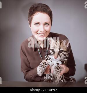 Ann Ladiges, deutsche Fernsehansagerin, Autorin und Drehbuchschreiberin, mit einem Ozelot bei einer Fotosession im Studio Hamburg, Deutschland um 1967. Die deutsche TV-Moderatorin, Autorin und Drehbuchautorin Ann Ladiges während eines Fotoshootings mit einem Ozelot im Hamburger Fernsehstudio um 1967. Stockfoto