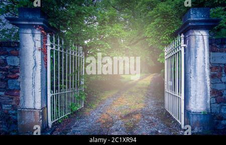 Altes Eisentor am geheimnisvollen nebligen Gartenweg. Stockfoto