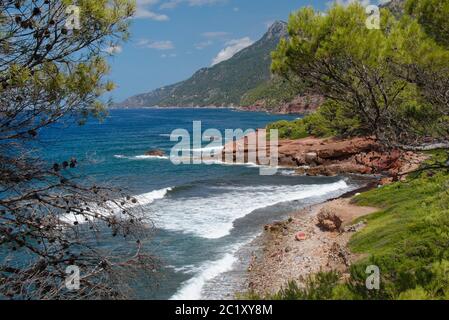 Es corrals Fais, ein abgelegener Kiesstrand, der von einem Küstenwald mit Aleppo-Kiefern (Pinus halepensis), Banyalbufar, Nordküste Mallorcas, August, gesäumt ist. Stockfoto