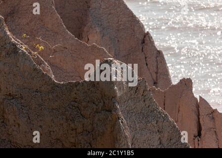 Landschaftsbilder mit Farbbildern, die die Küste des Eriesees entlang des Elgin County in Ontario, Kanada, zeigen, dass die Sandklippen natürlich erodell sind. Stockfoto