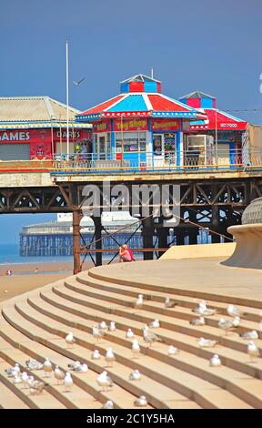 Bunte Kioske am Central Pier mit den Stufen der Ufermauer im Vordergrund, die von ruhenden Seevögeln bedeckt sind Stockfoto