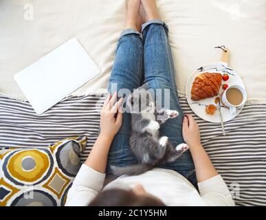 Junge Frau mit niedlichen kleinen Kätzchen sitzt auf dem Bett zu Hause mit Frühstück und mit Laptop Stockfoto