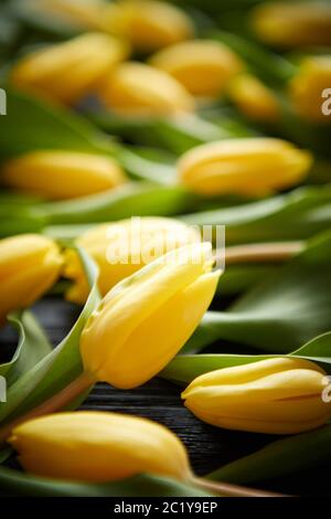 Gelbe Tulpen auf schwarz Tisch gelegt. Ansicht von oben mit Flach Stockfoto