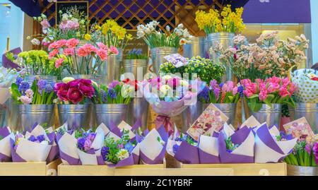 Bunte blühende Kakteen in Töpfen im Blumenladen, selektiver Fokus Stockfoto