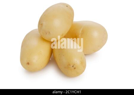 Studio-Aufnahme von frischen neuen Kartoffeln vor weißem Hintergrund geschnitten - John Gollop Stockfoto