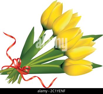 Schönes Bouquet von gelben Tulpen mit rotem Band. Isoliert auf weißem Hintergrund. Stock Vektor