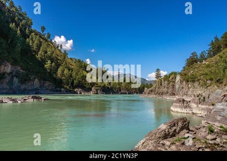 Der Fluss Katun im Altai fließt zwischen den mit Grün bedeckten Bergen Stockfoto