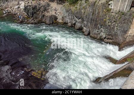 Der Fluss Katun im Altai fließt zwischen den mit Grün bedeckten Bergen Stockfoto