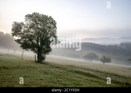 12. Juni 2020, Schwithten (Hessen): Nebel liegt am frühen Morgen über den Feldern und der Landschaft bei Dorfweil. Weltweit eingesetzt Stockfoto